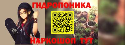бошки Сланцы