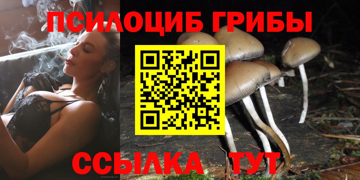 Галлюциногенные грибы GOLDEN TEACHER  Вход с VPN  где можно купить   Галлюциногенные грибы MAGIC MUSHROOMS  Урус-Мартан 