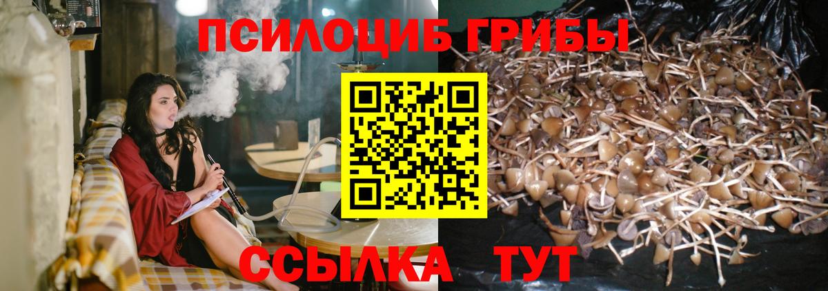 Галлюциногенные грибы мицелий Урус-Мартан